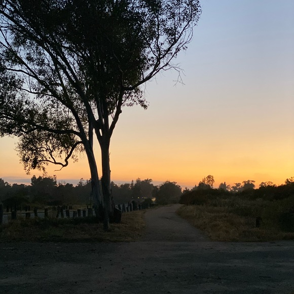 Meet your Posher, Cat - Picture 1 of 1